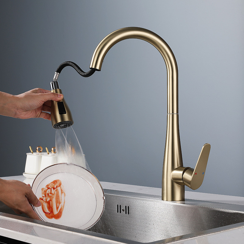 Robinet de cuisine extractible - Kitchen Appliances White avis et prix