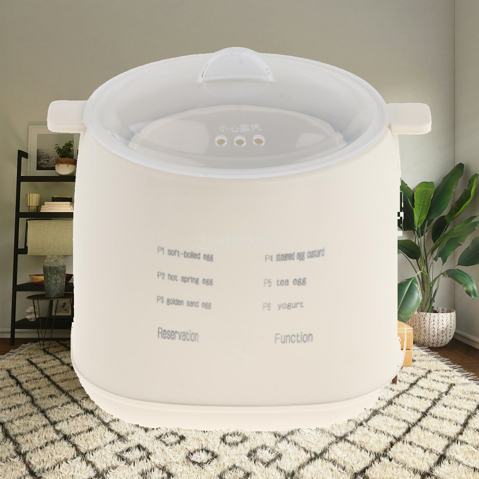 Cuiseur à œufs électrique rapi - Egg Cooker Rapid avis et prix