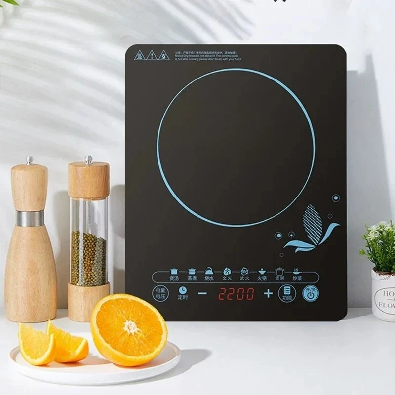 Cuisinière à induction 110V, c - Kitchen Appliances In Japanese avis et prix